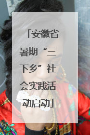 安徽省暑期“三下乡”社会实践活动启动