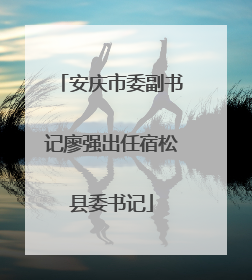 安庆市委副书记廖强出任宿松县委书记