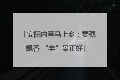 安阳内黄马上乡：麦穗飘香 “丰”景正好