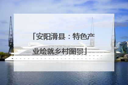 安阳滑县：特色产业绘就乡村图景