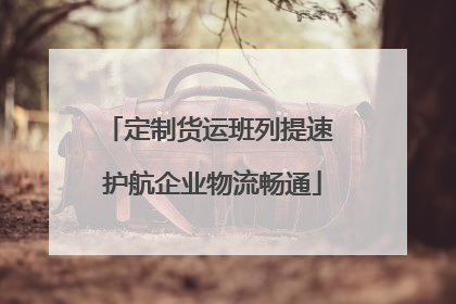 定制货运班列提速 护航企业物流畅通
