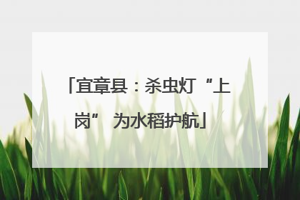 宜章县：杀虫灯“上岗” 为水稻护航