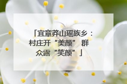 宜章莽山瑶族乡：村庄开“美颜” 群众露“笑颜”