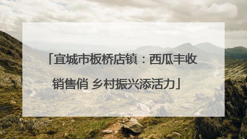 宜城市板桥店镇：西瓜丰收销售俏 乡村振兴添活力