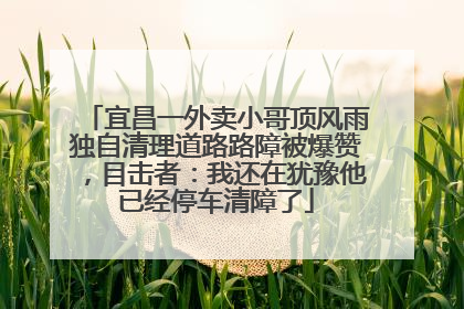 宜昌一外卖小哥顶风雨独自清理道路路障被爆赞，目击者：我还在犹豫他已经停车清障了
