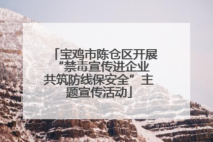 宝鸡市陈仓区开展“禁毒宣传进企业 共筑防线保安全”主题宣传活动
