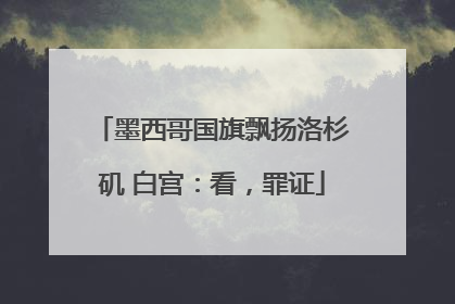 墨西哥国旗飘扬洛杉矶 白宫：看，罪证