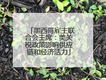 墨西哥雇主联合会主席：美关税政策影响供应链和经济活力