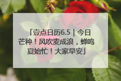 壹点日历6.5｜今日芒种！风吹麦成浪，蝉鸣夏始忙！大家早安