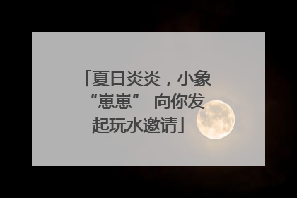 夏日炎炎，小象“崽崽” 向你发起玩水邀请