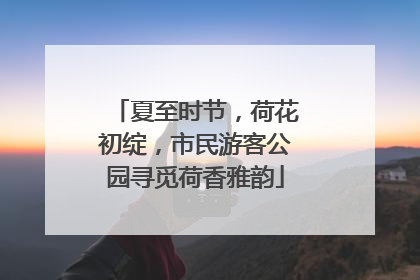 夏至时节，荷花初绽，市民游客公园寻觅荷香雅韵