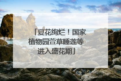 夏花绚烂！国家植物园萱草睡莲等进入盛花期