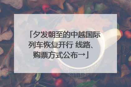 夕发朝至的中越国际列车恢复开行 线路、购票方式公布→
