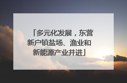 多元化发展，东营新户镇盐场、渔业和新能源产业并进