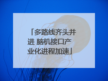 多路线齐头并进 脑机接口产业化进程加速