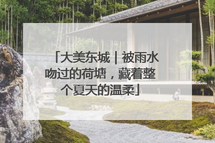 大美东城｜被雨水吻过的荷塘，藏着整个夏天的温柔