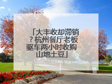 大丰收却滞销？杭州餐厅老板驱车两小时收购山地土豆