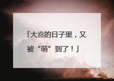 大喜的日子里，又被“萌”到了！