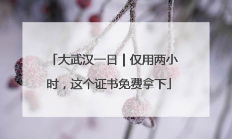 大武汉一日｜仅用两小时，这个证书免费拿下