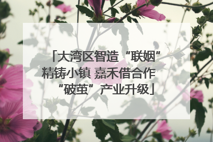 大湾区智造“联姻”精铸小镇 嘉禾借合作“破茧”产业升级