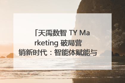 天禹数智 TY Marketing 破局营销新时代：智能体赋能与人才培育双轮驱动
