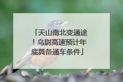 天山南北变通途！乌尉高速预计年底具备通车条件