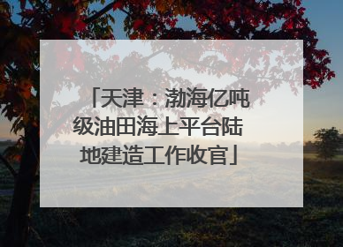 天津：渤海亿吨级油田海上平台陆地建造工作收官