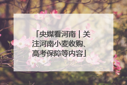 央媒看河南｜关注河南小麦收购、高考保障等内容