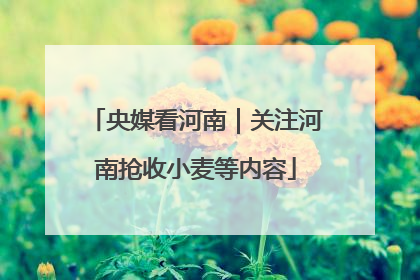 央媒看河南｜关注河南抢收小麦等内容