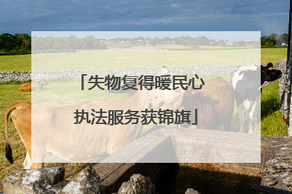 失物复得暖民心 执法服务获锦旗