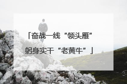 奋战一线“领头雁” 躬身实干“老黄牛”