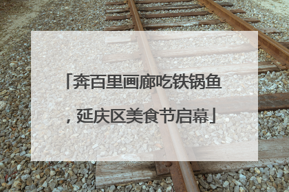 奔百里画廊吃铁锅鱼，延庆区美食节启幕