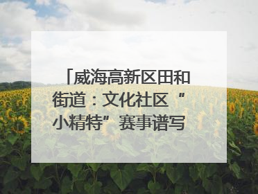威海高新区田和街道：文化社区“小精特”赛事谱写文化赋能新乐章