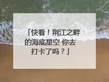 快看！荆江之畔的海底星空 你去打卡了吗？