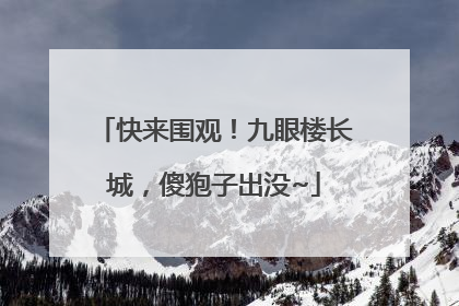 快来围观！九眼楼长城，傻狍子出没~