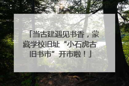 当古建遇见书香，蒙藏学校旧址“小石虎古旧书市”开市啦！