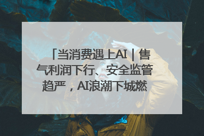 当消费遇上AI｜售气利润下行、安全监管趋严，AI浪潮下城燃企业如何破局