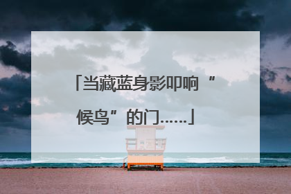 当藏蓝身影叩响“候鸟”的门……