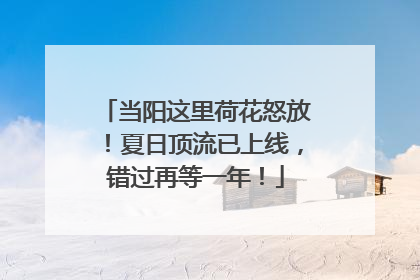 当阳这里荷花怒放！夏日顶流已上线，错过再等一年！