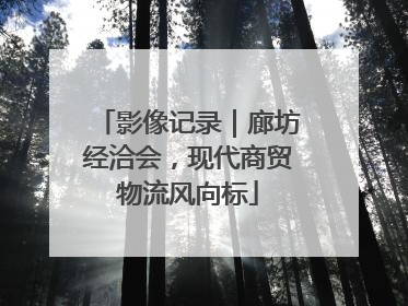 影像记录｜廊坊经洽会，现代商贸物流风向标