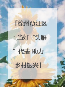 徐州贾汪区：当好“头雁”代表 助力乡村振兴