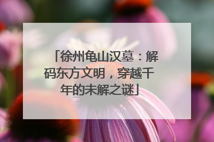 徐州龟山汉墓：解码东方文明，穿越千年的未解之谜