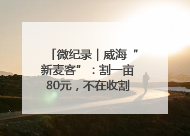微纪录｜威海“新麦客”：割一亩80元，不在收割就是在收割路上