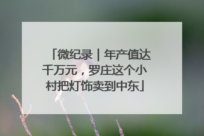 微纪录｜年产值达千万元，罗庄这个小村把灯饰卖到中东