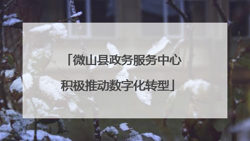 微山县政务服务中心积极推动数字化转型