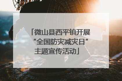 微山县西平镇开展“全国防灾减灾日”主题宣传活动