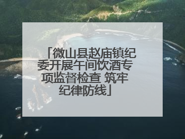 微山县赵庙镇纪委开展午间饮酒专项监督检查 筑牢纪律防线