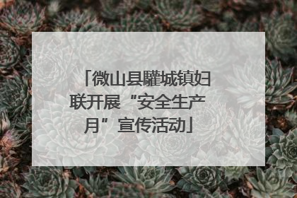 微山县驩城镇妇联开展“安全生产月”宣传活动