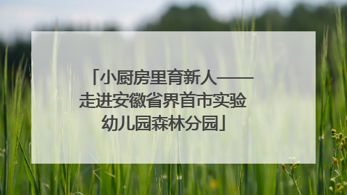小厨房里育新人——走进安徽省界首市实验幼儿园森林分园