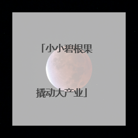 小小碧根果撬动大产业